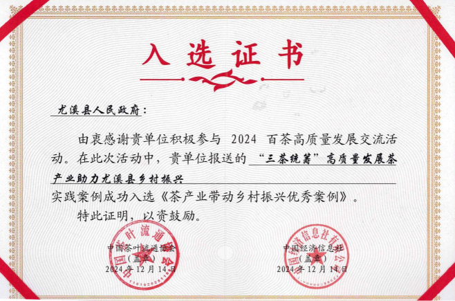 入选证书.jpg
